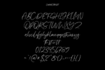 Ray Brooks Font