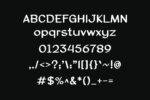 Ronger Font