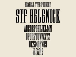 STF Charkley Black Font