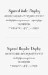 Squirrel Font