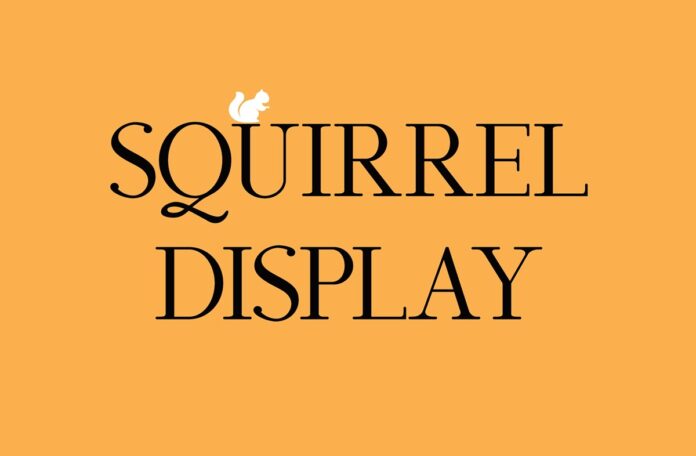 Squirrel Font
