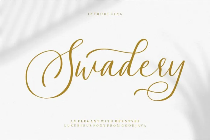 Swadery Script Font