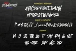 The Stamshons Brush Font