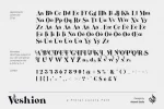 Veshion Serif Font