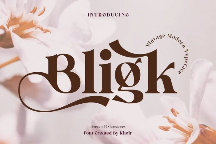Bligk – Vintage Modern Font