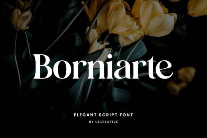 Borniarte Font