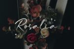 Marquise Font