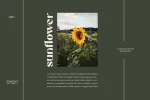 Mattire Modern Serif Typeface