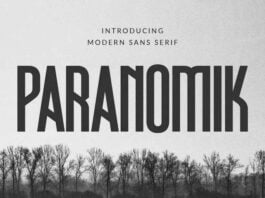 Paranomik Font