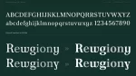Poltawski Nowy Font Family