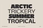 Rogy Font