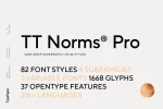 TT Norms Pro Serif Font Family