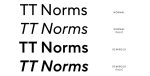 TT Norms Pro Serif Font Family