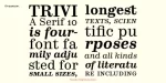 Trivia Serif 10 Font Family
