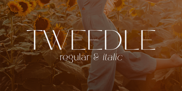 Tweedle Font Family