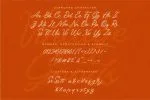 Vintage Goods Script