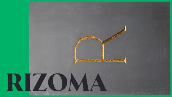 Rizoma Font