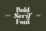Perfect Colony Font
