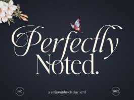 Perfectly Noted Font
