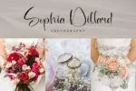 Rosemallia Font