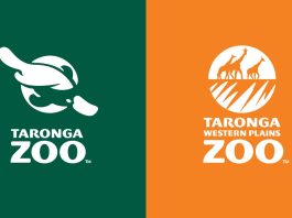 Taronga Zoo Font