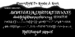 Dragonflight Pro Font