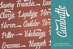 Ganbatte - Bold Script Font