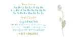 NERMOLA Scripcy Font
