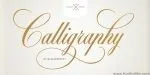 BP Black & White Font