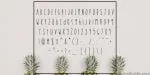 Tropical Trouble Font