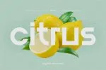 Blont | Modern & Clean Logo Font