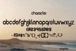 Poined Font