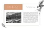 Camilie Family Font