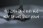 Baby Cat Font