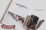 Shelley Font