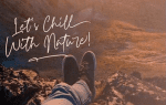 Carnollia Font