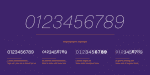 Passenger Sans Font