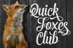 5 Sick Script Font