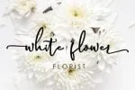 Magnolia Hand Font