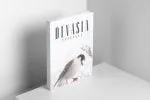Devasia Sans Serif Font