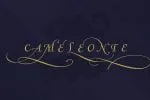 Caravela - Amazing Classic Typeface