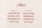 Nalisa Font - Modern Beauty Font