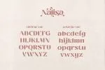 Nalisa Font - Modern Beauty Font