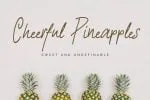 Ravinchy - Signature Font