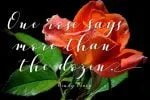 Vellesa Script Font