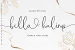 Maestrography Handwritten Font