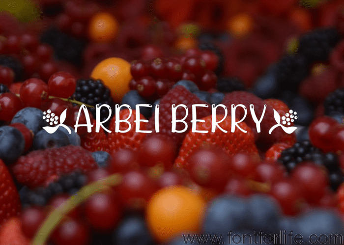 ARBEI BERRY Font