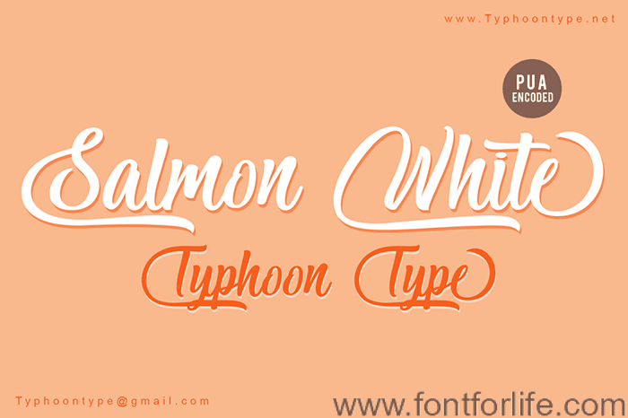 Salmon White (Personal Use) Font