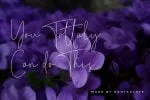 Viollet Signatture - Clean Signature Font