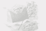 Missing Lauderdale Font